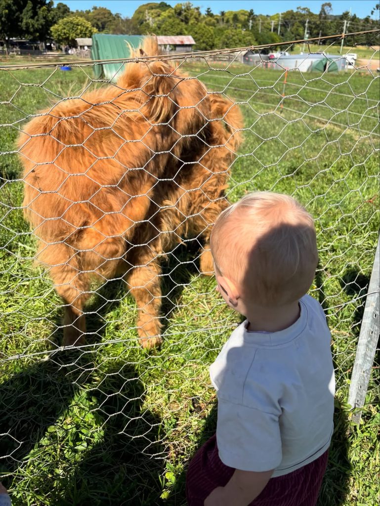 One of Shonee's favourite kid-friendly things to do in Byron Bay, is visit The Farm with her precious little Vally. 